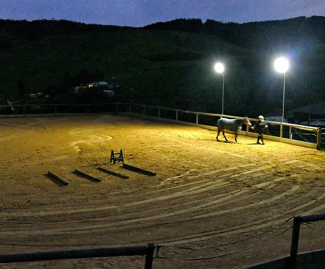 Solar Lights for Outdoor Horse Arena